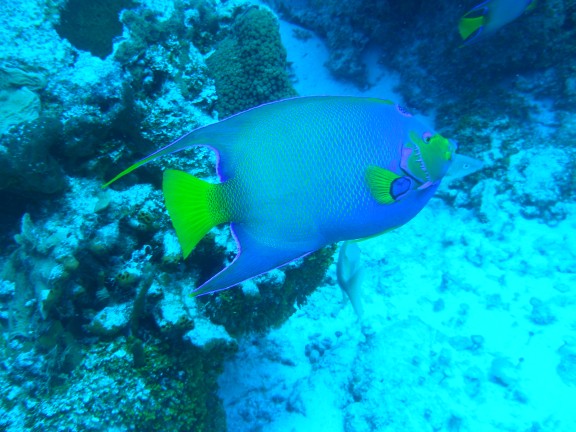 Cozumel, Mexico