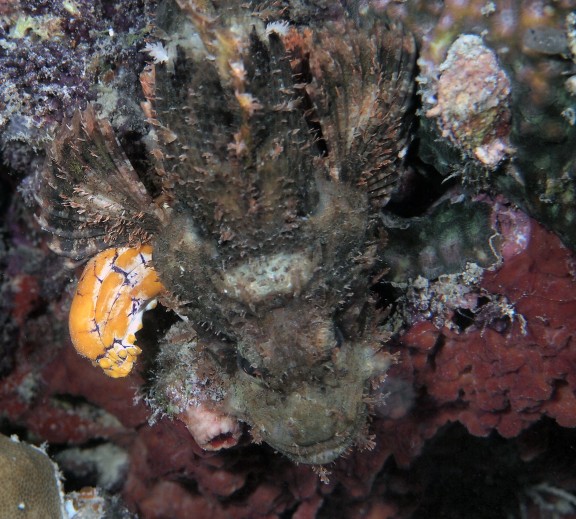Semporna, Malaysia