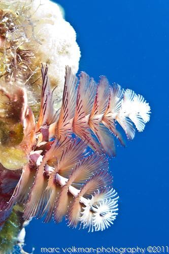 Quintana Roo, Mexico