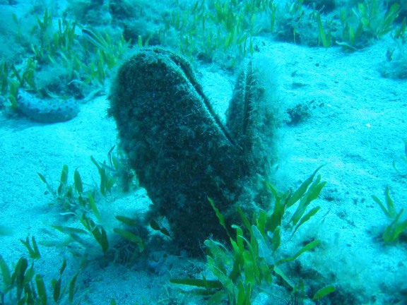 Hurghada, Egitto