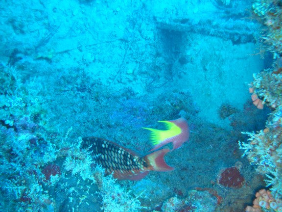 Pompano Beach, United States