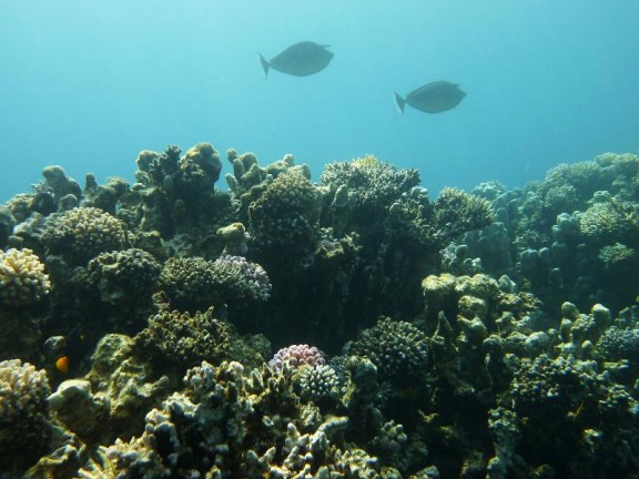 Dahab, Egypt