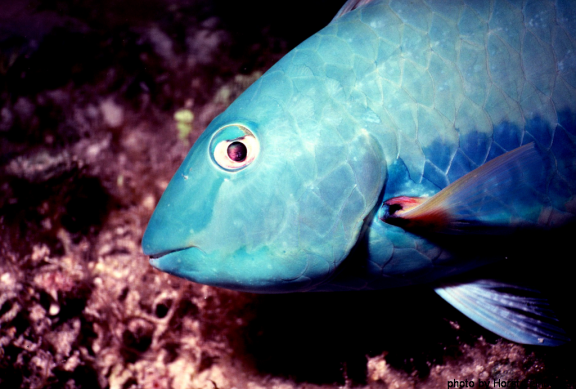 Quintana Roo, Mexico