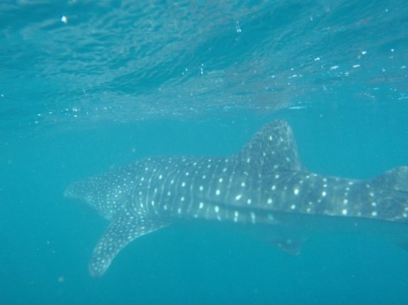 Tadjourah, Djibouti
