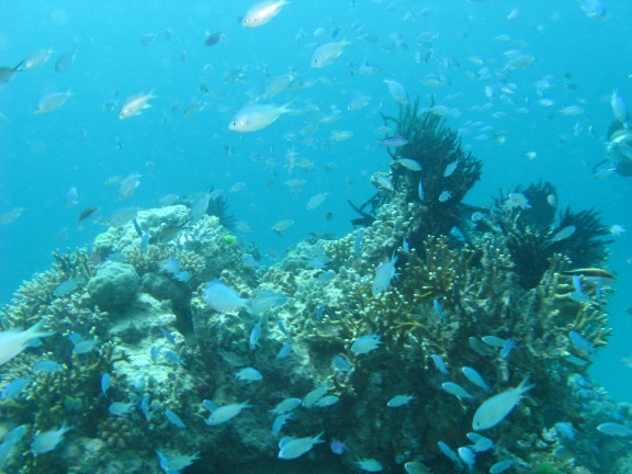 Queensland, Australia