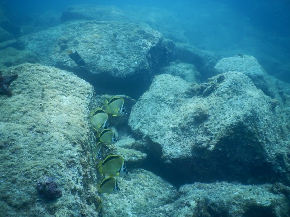 Guaymas, Mexico