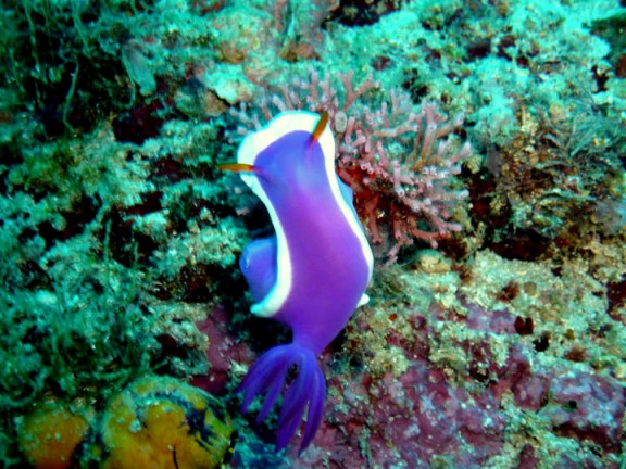 Malaysia