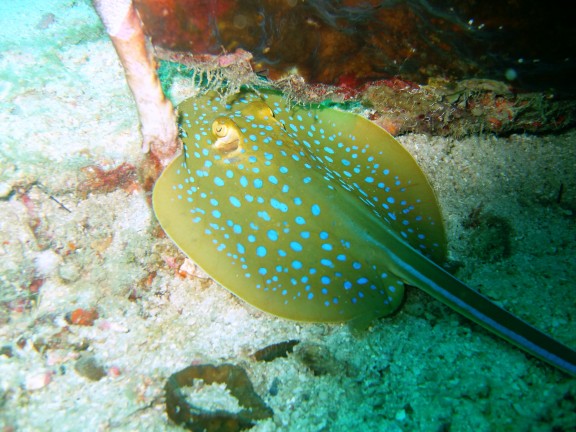 Mersing, Malaysia