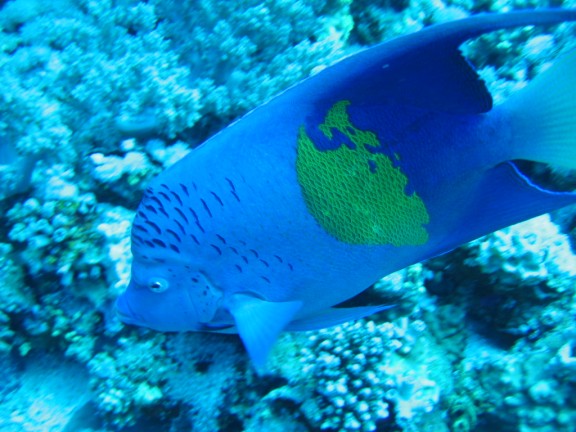 egitto sharm