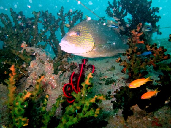 Andaman, India