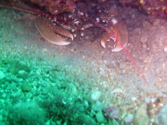 Gulf of Cortez