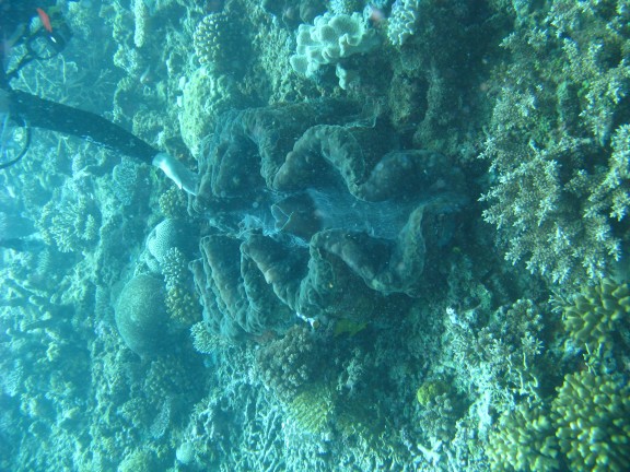 Queensland, Australia