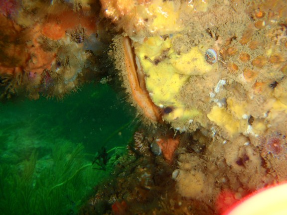 Rancho Palos Verdes, United States