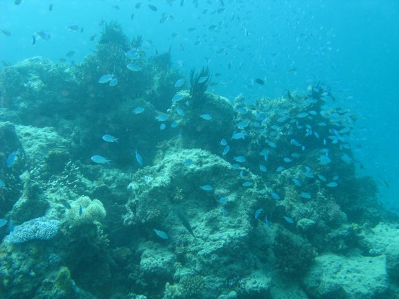 Queensland, Australia