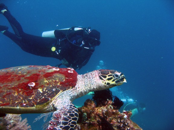 Cebu, Filippinerna