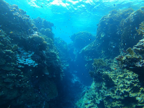 Red Sea, Egypt