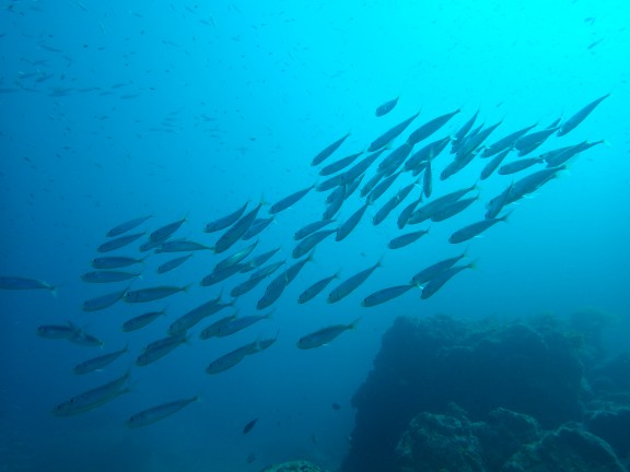 Ventura, United States