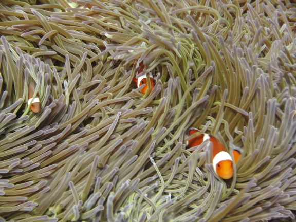 Karangasem, Indonesia