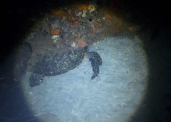West Palm Beach, United States