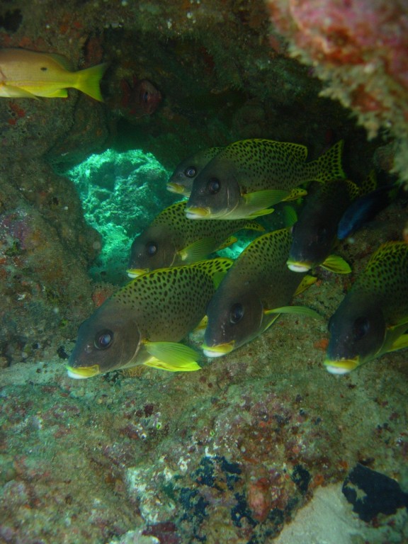 Analalava, Madagascar