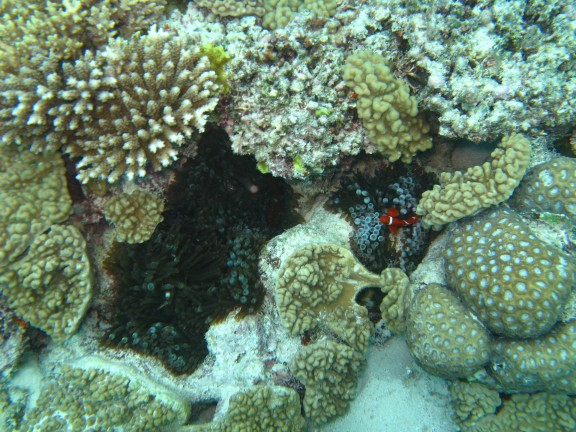 Queensland, Australia