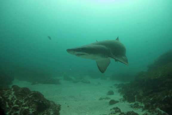 Ezembeni, South Africa