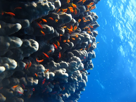 Aqaba, Jordan