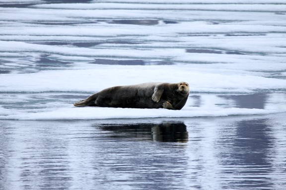Svalbard Archipelago