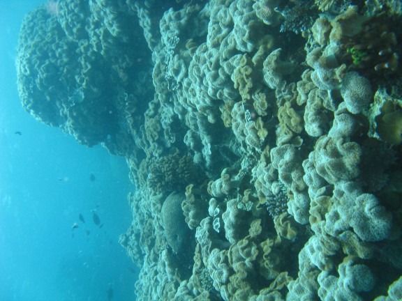 Queensland, Australia