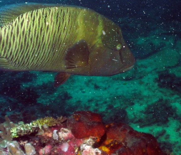 Malaysia