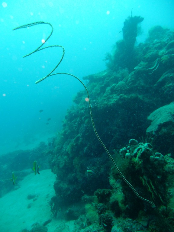 Nyambadao, Mayotte