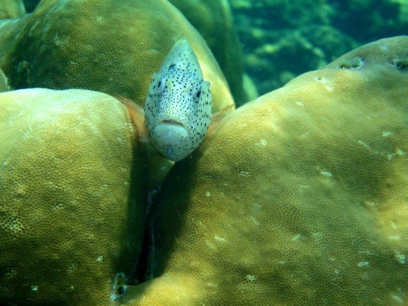 port blair, india