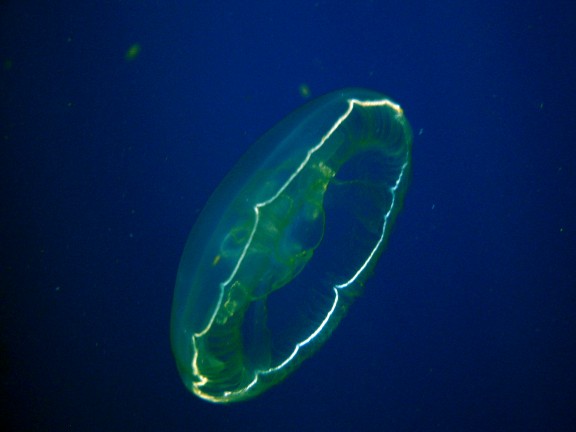 Key Largo