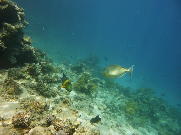 Dahab, Egypt