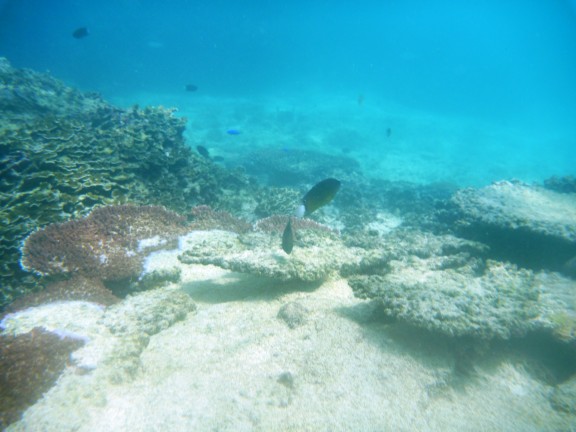 Shefa Province, Vanuatu