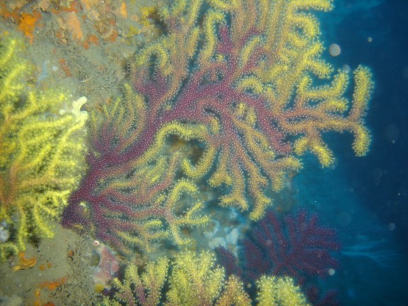 Torroella de Montgrí, España