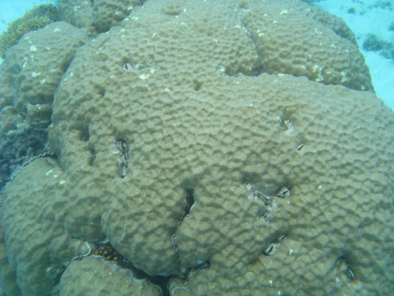 Queensland, Australia