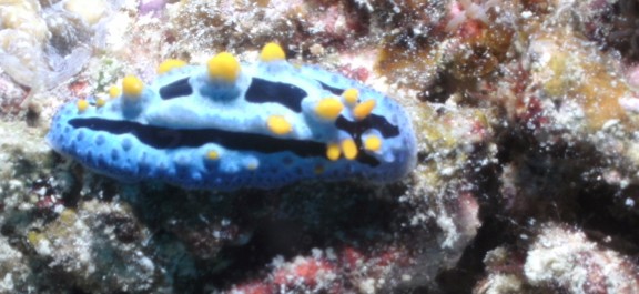Malaysia