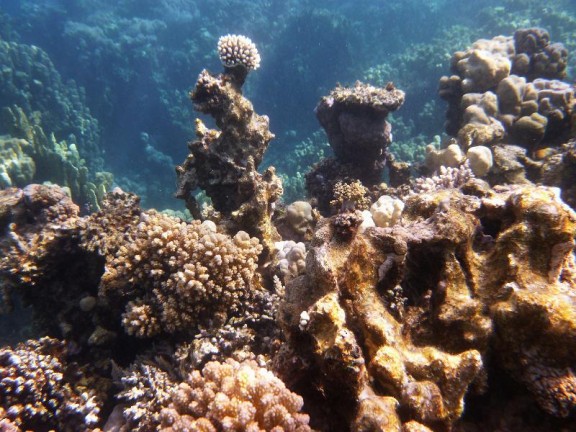 Dahab, Egypt