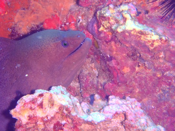 Islas Similan.Tailandia