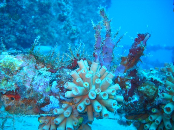 Pompano Beach, United States