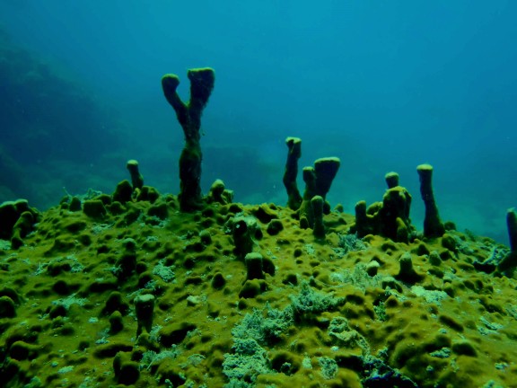 Andaman, India