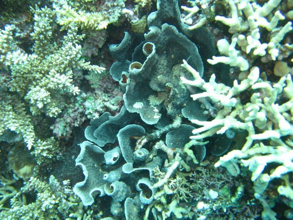 Queensland, Australia