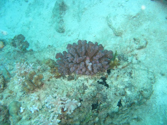 Queensland, Australia