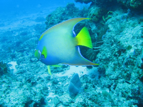 Cozumel, MEXIQUE
