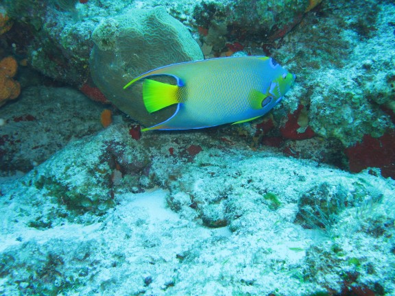 Cozumel, MEXIQUE