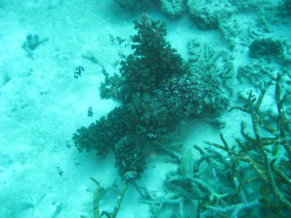 Queensland, Australia