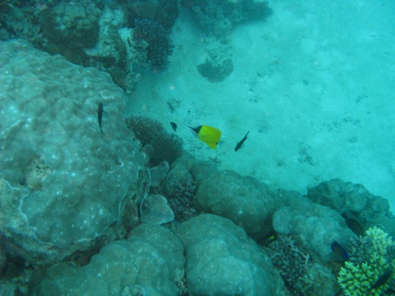 Queensland, Australia