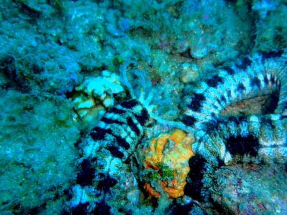 Andaman, India