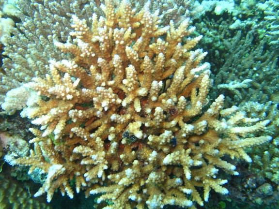 Queensland, Australia